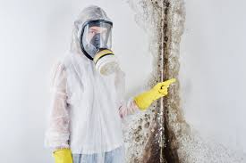 Best Comprehensive Air Testing for Mold Contaminants  in Mono Vista, CA